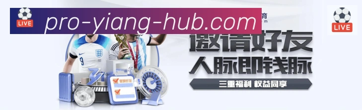 奖项4